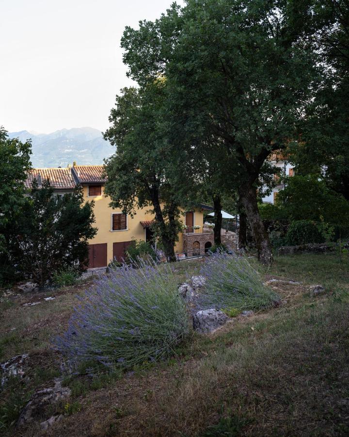 La Casetta, Appartamento Con Vista Lago E Montagne San Zeno di Montagna Exterior foto